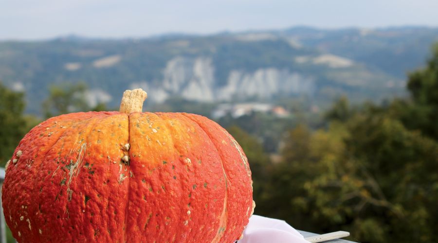Piozzo paese della zucca
